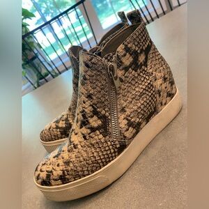 Steve Madden Black/Cream  Ankle Boots with Modern Design